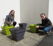 IMG_4928 IMG_4928